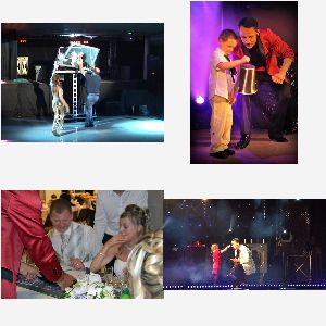 spectacle magicien pour comite entreprise epernay